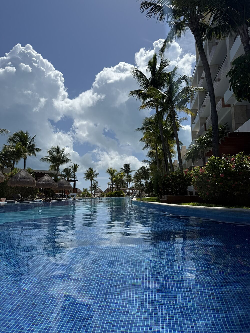 A long blue pool framed by palm trees under a bright sky